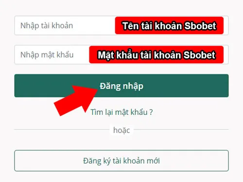 Điền thông tin tài khoản Sbobet